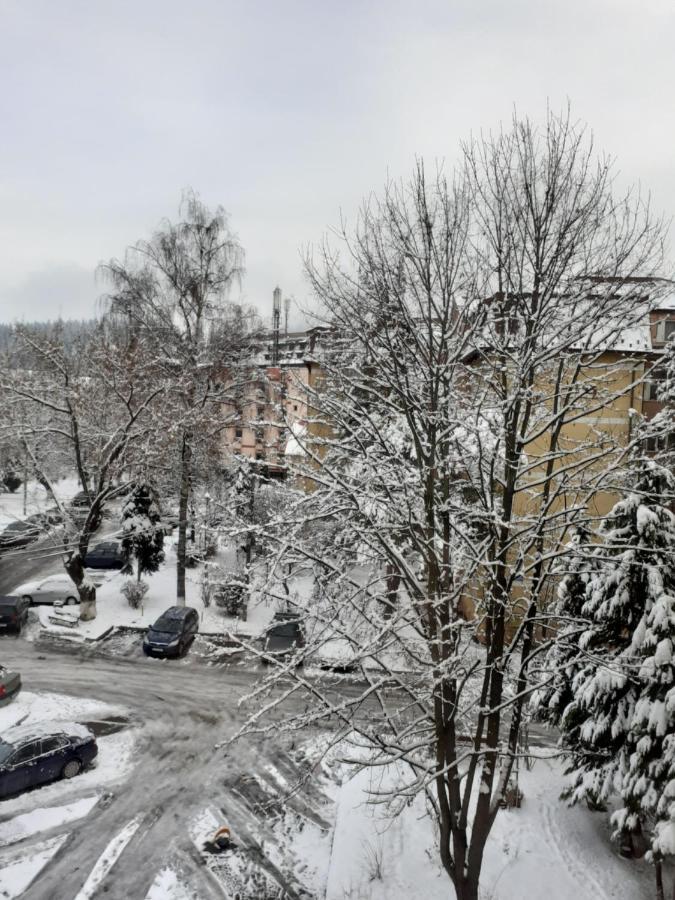 Apartament Ultra Central Marly Gura Humorului Kültér fotó